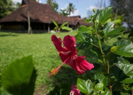 Check-In: Vaamika Island Resort, Kochi, Kerala, India